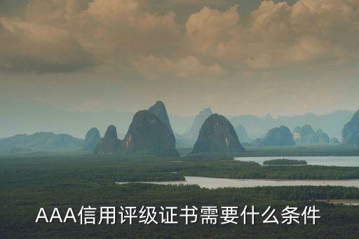 AAA信用评级证书需要什么条件