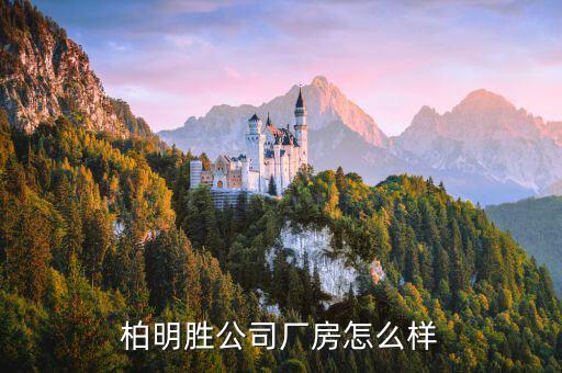 坪山iso认证企业,iso体系认证是什么意思