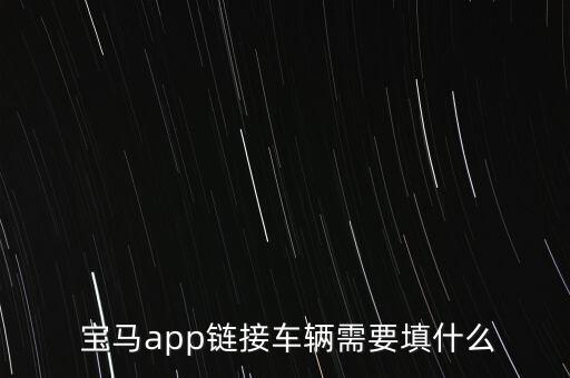 宝马实名认证企业用户,奥迪企业用户实名认证授权模板