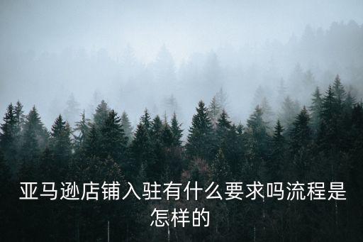 亚马逊企业资质认证查询,企业资质认证查询平台