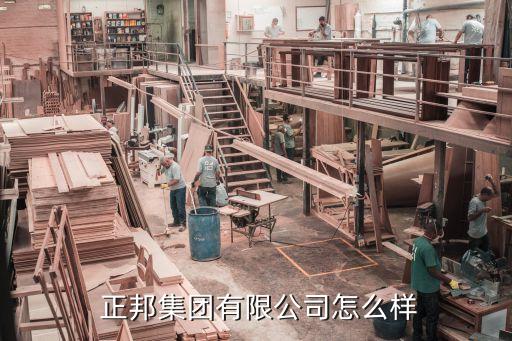  正邦集团有限公司怎么样