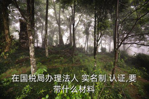 在国税局办理法人 实名制 认证,要带什么材料