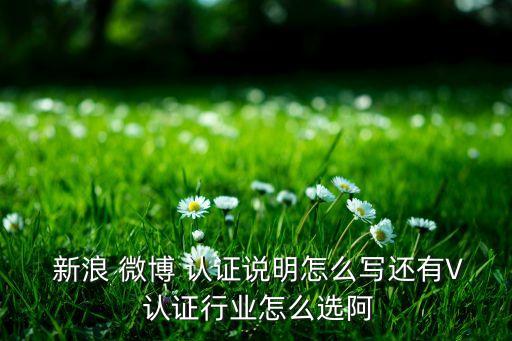  新浪 微博 认证说明怎么写还有V 认证行业怎么选阿