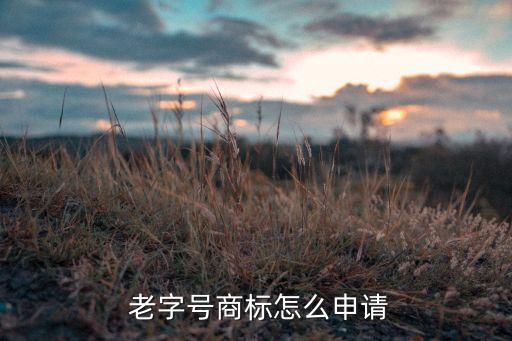  老字号商标怎么申请