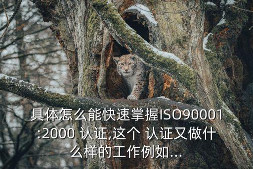 具体怎么能快速掌握ISO90001:2000 认证,这个 认证又做什么样的工作例如...