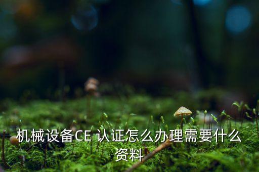 湖南专业ce认证企业,湖南ce认证办理流程