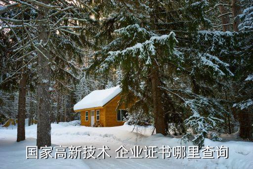 国家高新技术 企业证书哪里查询