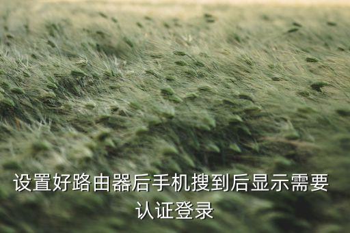 wap2企业认证,WAP2加密认证