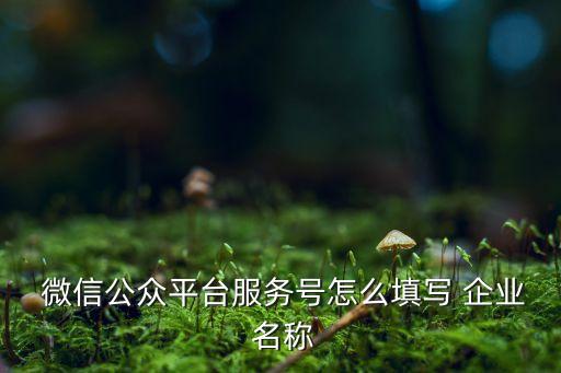 企业微信认证的公司名称,微信实名认证可以用公司名称吗