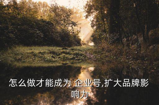 怎么做才能成为 企业号,扩大品牌影响力