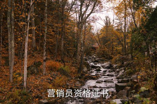 营销员资格证书