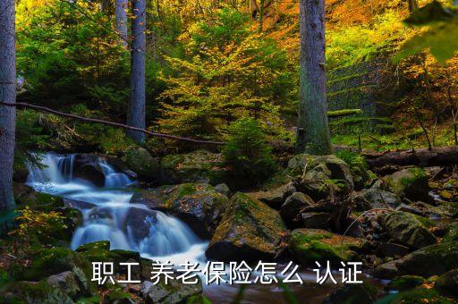职工 养老保险怎么 认证