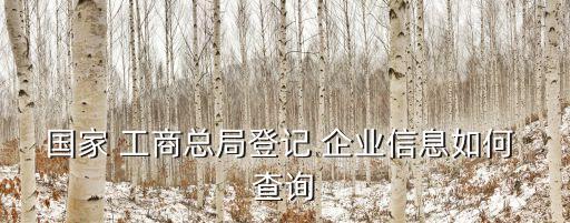 国家 工商总局登记 企业信息如何 查询