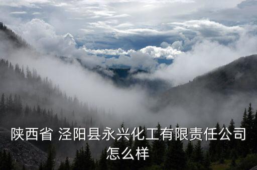 陕西省 泾阳县永兴化工有限责任公司怎么样