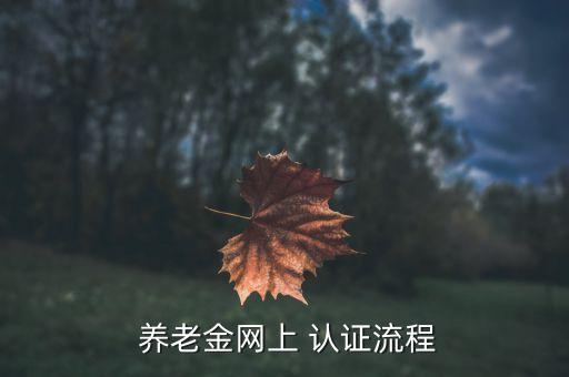  养老金网上 认证流程