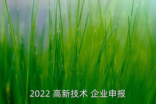 2022 高新技术 企业申报
