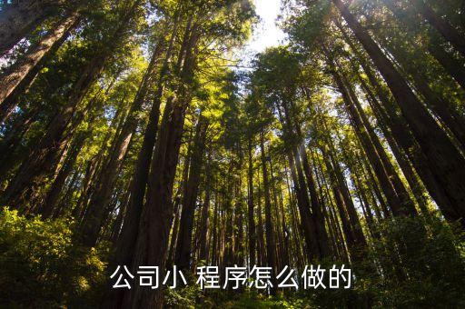 公司小 程序怎么做的