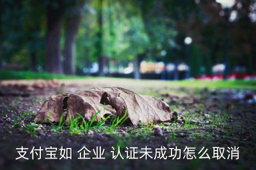 支付宝如 企业 认证未成功怎么取消