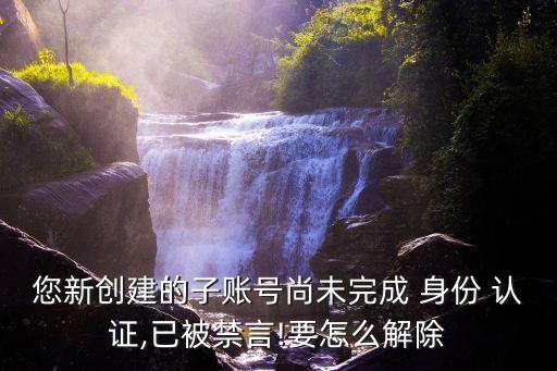 您新创建的子账号尚未完成 身份 认证,已被禁言!要怎么解除