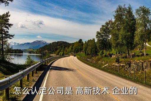 怎么认定公司是 高新技术 企业的