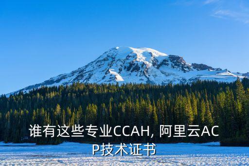 谁有这些专业CCAH, 阿里云ACP技术证书