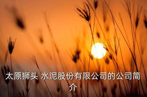 水泥企业认证,新疆最大的水泥企业