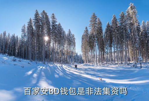  百家安BD钱包是非法集资吗