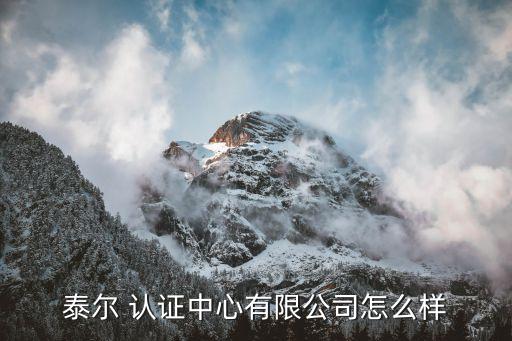 泰尔 认证中心有限公司怎么样