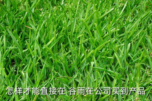 谷雨企业认证,谷雨是哪里的企业