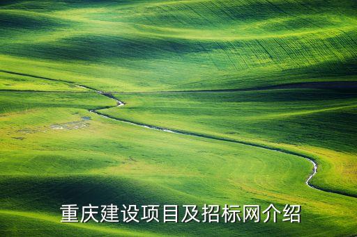  重庆建设项目及招标网介绍