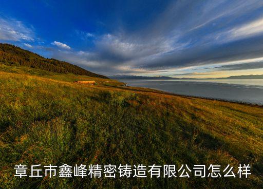  章丘市鑫峰精密铸造有限公司怎么样