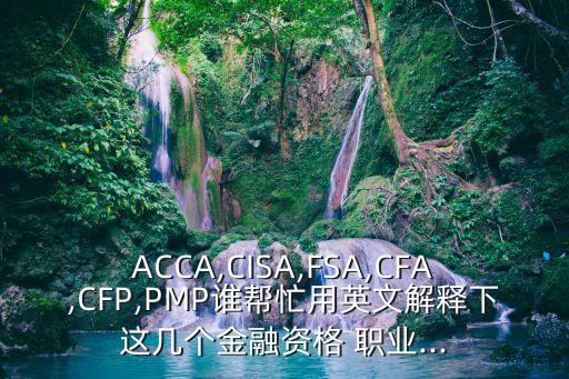 ACCA,CISA,FSA,CFA,CFP,PMP谁帮忙用英文解释下这几个金融资格 职业...