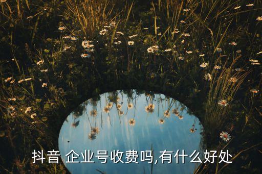 浙江企业抖音免费认证吗,浙江传统企业怎么做抖音