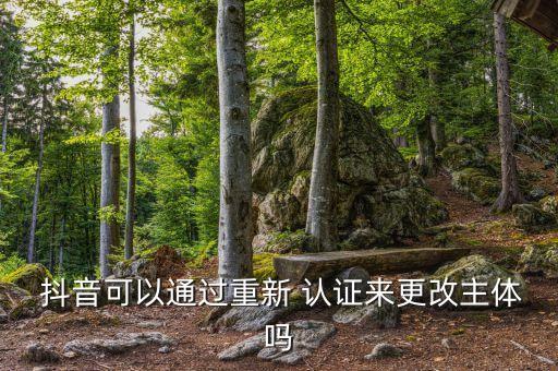 抖音认证企业号顺序错了,抖音企业号蓝v认证的是干嘛的