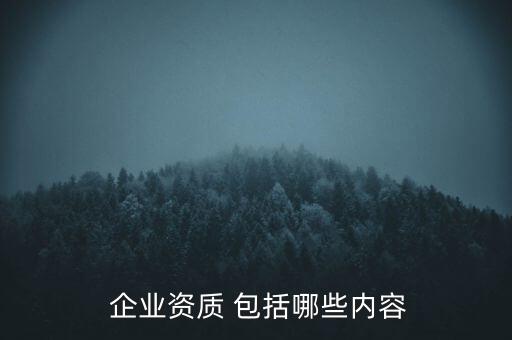  企业资质 包括哪些内容