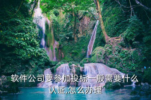  软件公司要参加投标一般需要什么 认证,怎么办理