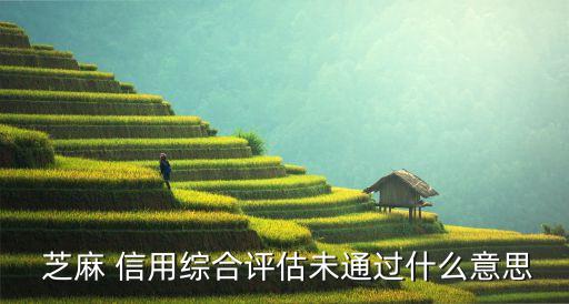 芝麻 信用综合评估未通过什么意思