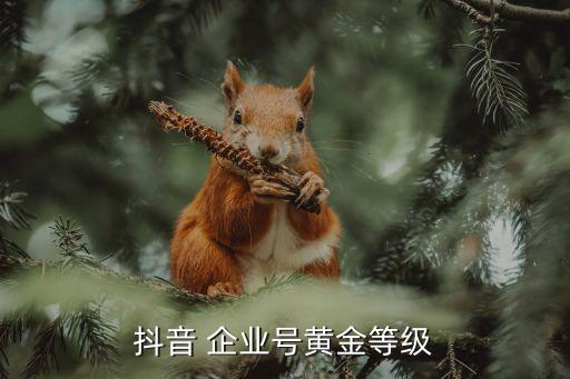 抖音 企业号黄金等级