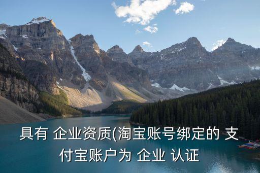具有 企业资质(淘宝账号绑定的 支付宝账户为 企业 认证