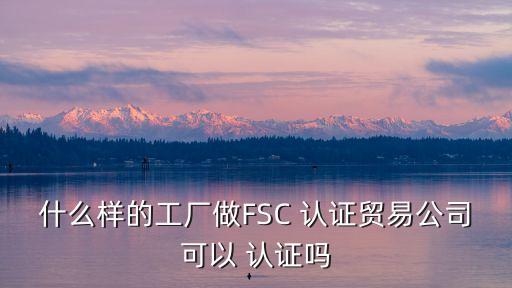 什么样的工厂做FSC 认证贸易公司可以 认证吗