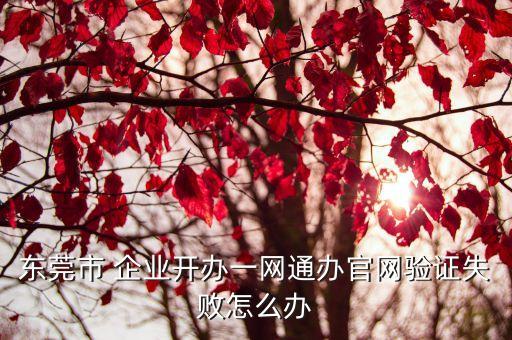 企业统一认证,企业认证有什么好处