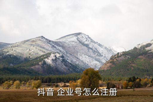  抖音 企业号怎么注册