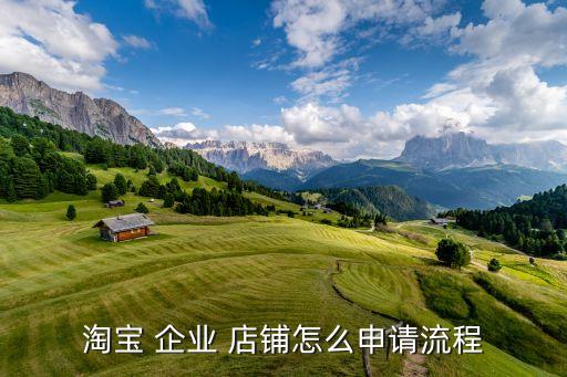 淘宝 企业 店铺怎么申请流程