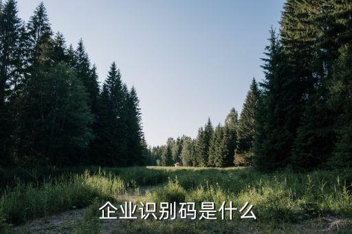 认证企业代码是什么,快手官方认证代码是什么