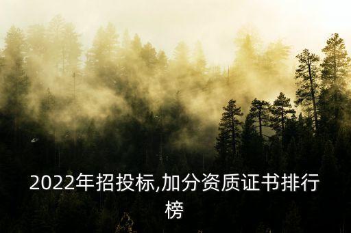 2022年招投标,加分资质证书排行榜