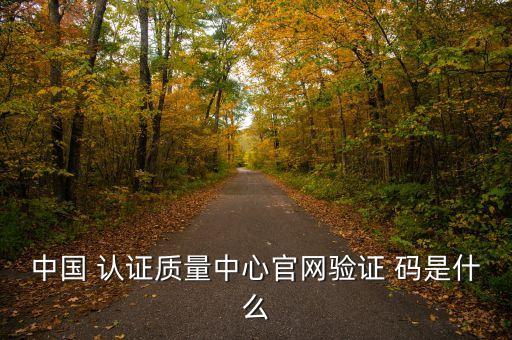 企业认证码是什么,认证码是什么意思?