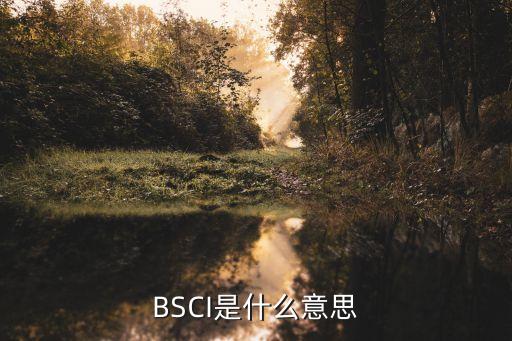 BSCI是什么意思