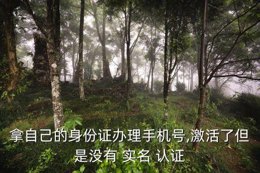 拿自己的身份证办理手机号,激活了但是没有 实名 认证