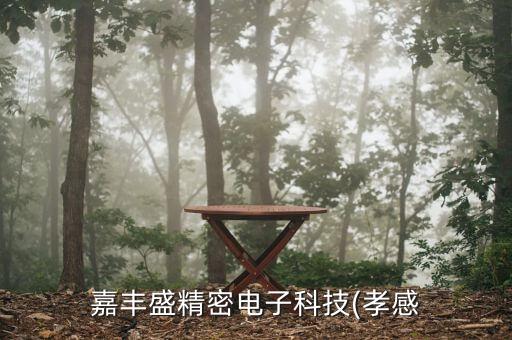 嘉丰盛精密电子科技(孝感