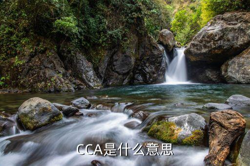 企业cca认证,Cca认证